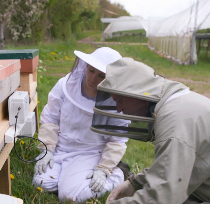 enp-media-ngos-worldbeeproject-01
